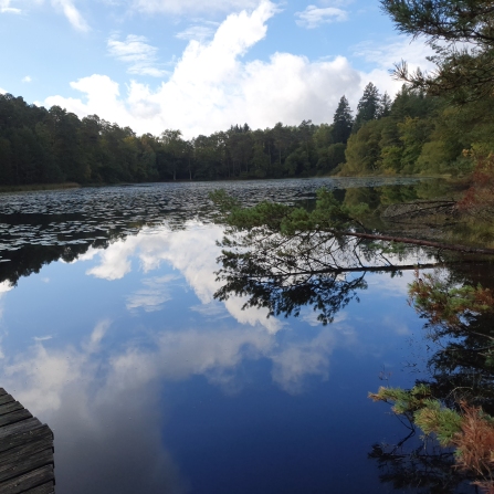 Lac
