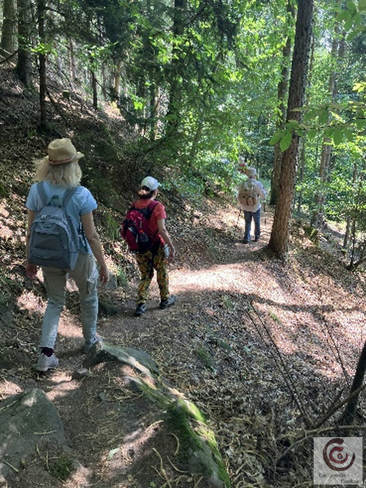 Marche en forêt