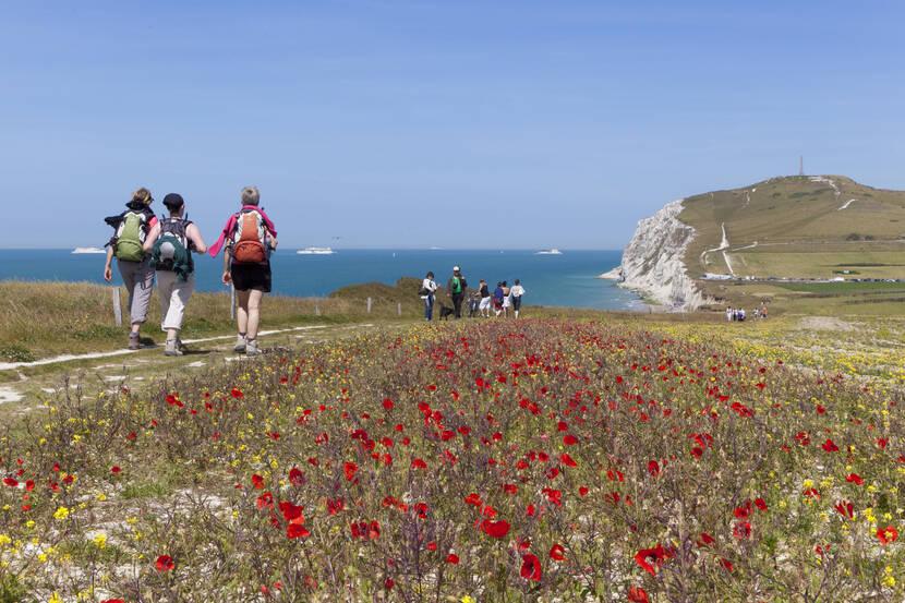 Marche Calais