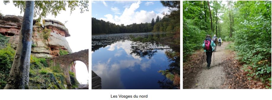 Randonnée et paysages des Vosges du Nord