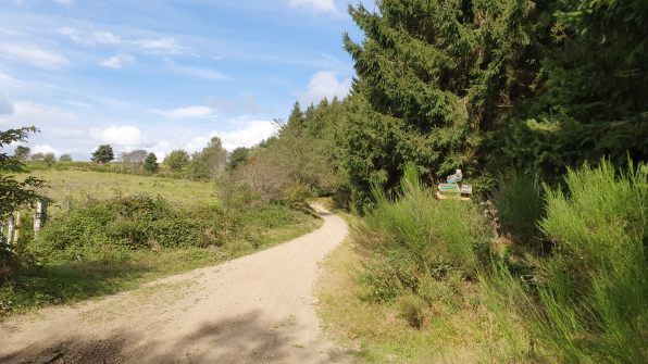 Chemin 